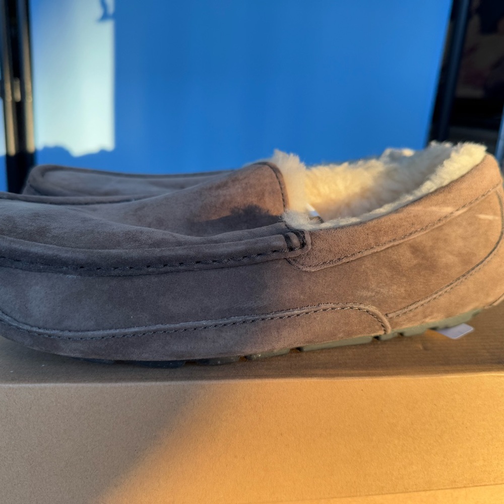 UGG slippers